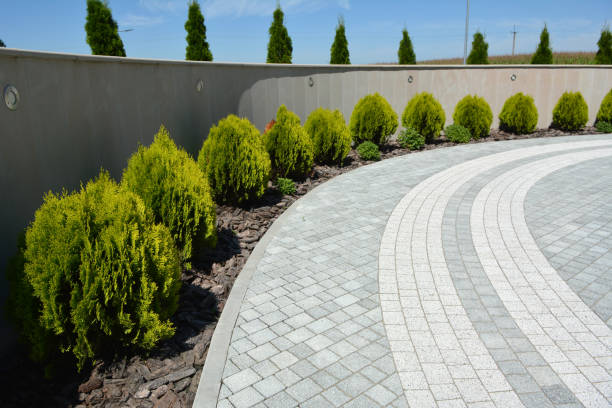 Professional Driveway Pavers in Blackwater, AZ